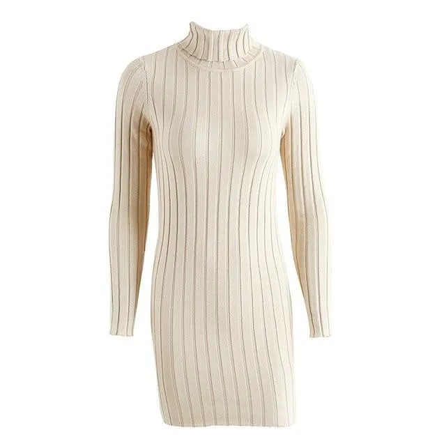 Casual Turtleneck Long Knitted Pullover Sweater Dress