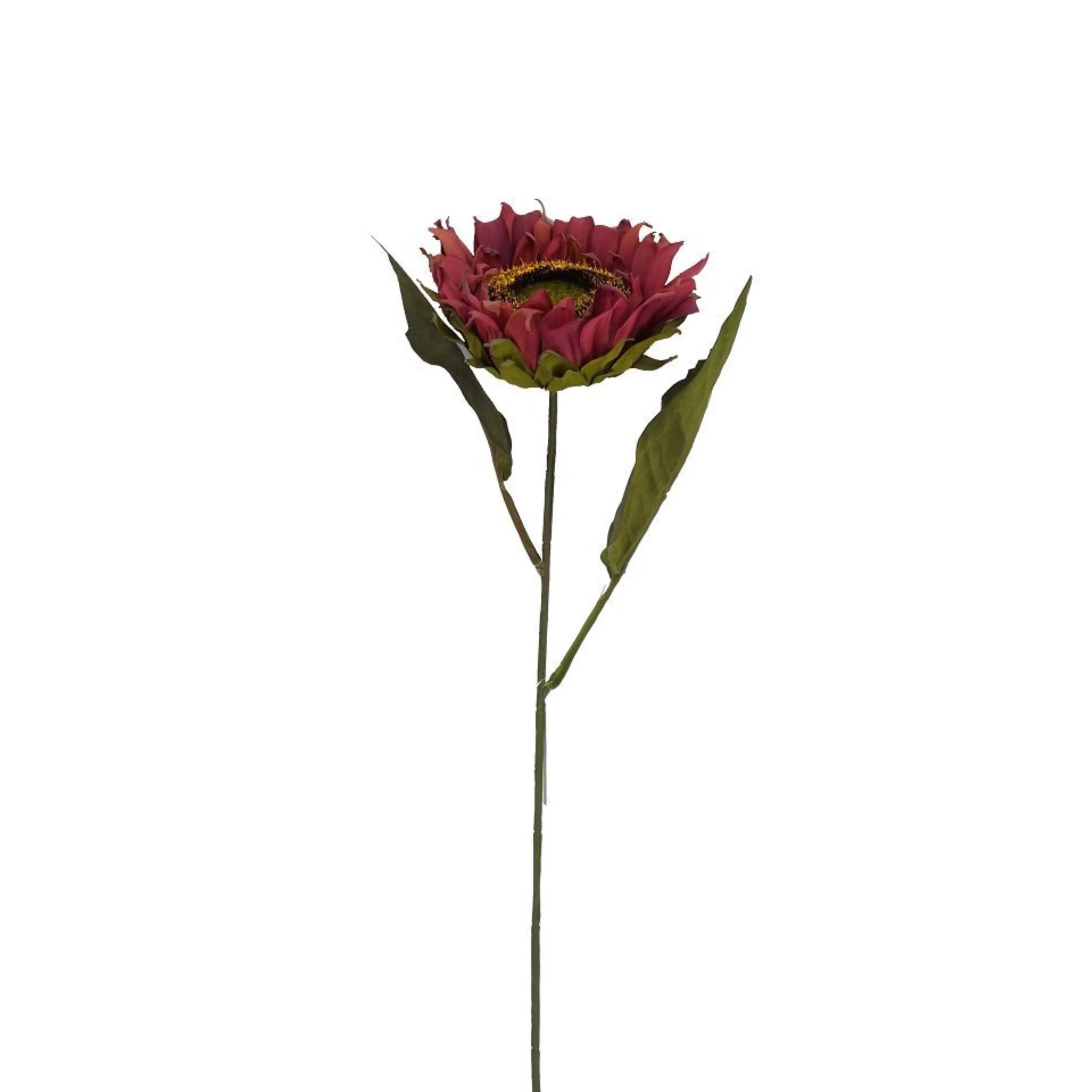 Small Burgandy Sunflower Stem